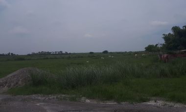 lot for sale Mabalacat Pampanga , brgy Sapang Balen