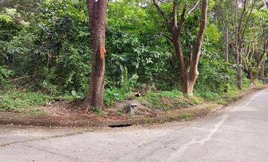 Vacant Lot in Town & Country, Antipolo Rizal