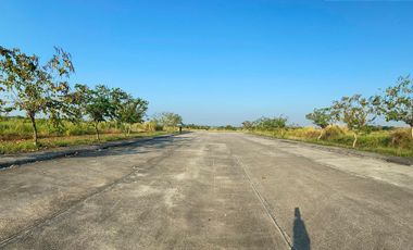 5,000 sqm -Commercial/Industrial Lot for SALE in Malolos Bulacan