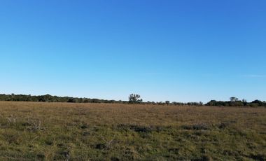 Campo cerca de zona urbana Romang