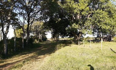 Campo cerca de zona urbana Romang