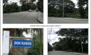 Vacant Lot for Sale in Talayan Village Park Quezon City