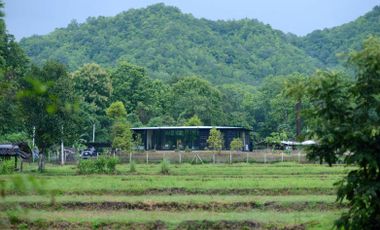 Business for sale Farm On Onn camping ground with land in Mae On, Chiang Mai