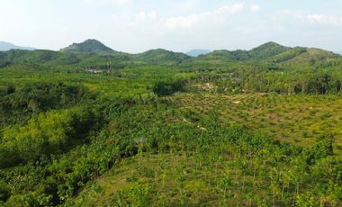 Hillside 4 rai with panorama mountain view land for sale in Tha Yu, Phangnga