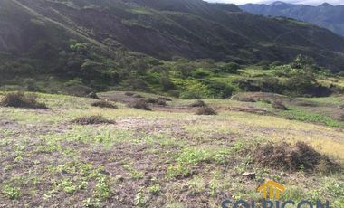 Amplio terreno en yunguilla