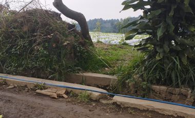 1960 M2 Tanah View Indah, Jambudipa, Cisarua, Bandung Barat