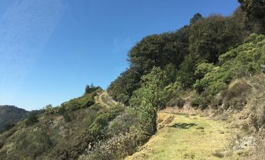 RANCHO EL JARDÍN EN VENTA