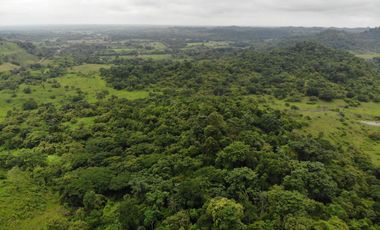 Manabí, Vendo Excelente Terreno de 9 Ha de Alto Impacto Para Varios Proyectos