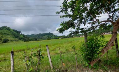 Manabí, Vendo Excelente Terreno de 9 Ha de Alto Impacto Para Varios Proyectos