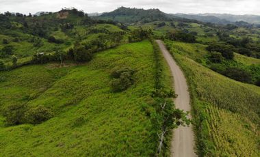 Manabí, Vendo Excelente Terreno de 9 Ha de Alto Impacto Para Varios Proyectos