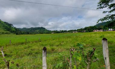 Manabí, Vendo Excelente Terreno de 9 Ha de Alto Impacto Para Varios Proyectos