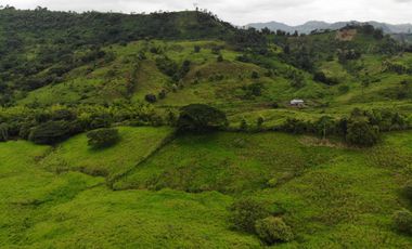 Manabí, Vendo Excelente Terreno de 9 Ha de Alto Impacto Para Varios Proyectos