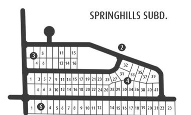 Vacant Lot for sale in Springhills Subdivision Barangay Ampid San Mateo Rizal