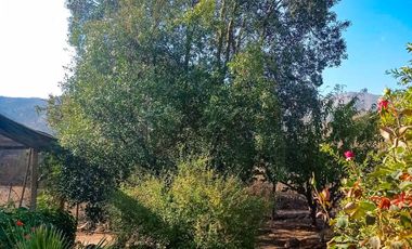 🏠SE VENDE  PARCELA CON CASA EN LA AURORA🏠