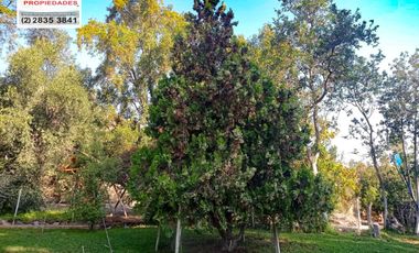 🏠SE VENDE  PARCELA CON CASA EN LA AURORA🏠