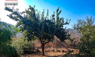 🏠SE VENDE  PARCELA CON CASA EN LA AURORA🏠