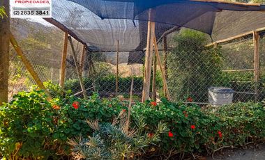 🏠SE VENDE  PARCELA CON CASA EN LA AURORA🏠