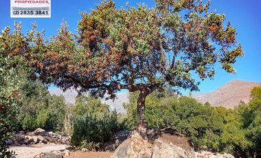 🏠SE VENDE  PARCELA CON CASA EN LA AURORA🏠