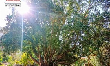 🏠SE VENDE  PARCELA CON CASA EN LA AURORA🏠