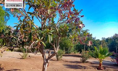 🏠SE VENDE  PARCELA CON CASA EN LA AURORA🏠