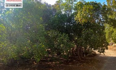 🏠SE VENDE  PARCELA CON CASA EN LA AURORA🏠