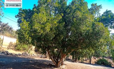 🏠SE VENDE  PARCELA CON CASA EN LA AURORA🏠