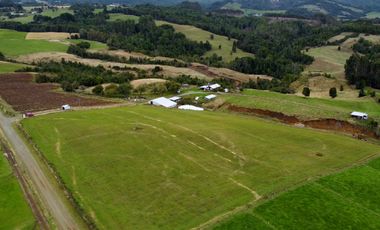 Parcelas en venta en Los Muermos con vista panorámica 360° y praderas