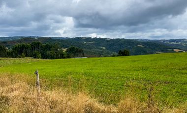 Parcelas en venta en Los Muermos con vista panorámica 360° y praderas