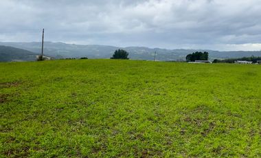 Parcelas en venta en Los Muermos con vista panorámica 360° y praderas