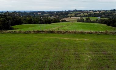 Parcelas en venta en Los Muermos con vista panorámica 360° y praderas