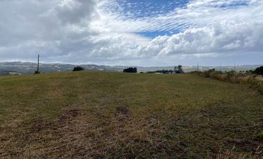 Parcelas en venta en Los Muermos con vista panorámica 360° y praderas