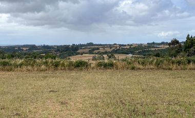 Parcelas en venta en Los Muermos con vista panorámica 360° y praderas