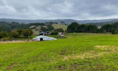 Parcelas en venta en Los Muermos con vista panorámica 360° y praderas
