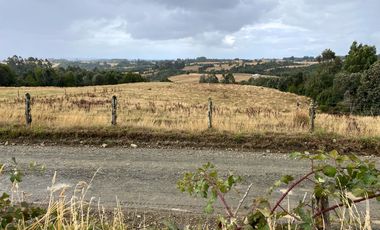 Parcelas en venta en Los Muermos con vista panorámica 360° y praderas