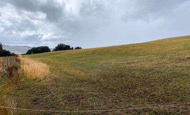 Parcelas en venta en Los Muermos con vista panorámica 360° y praderas