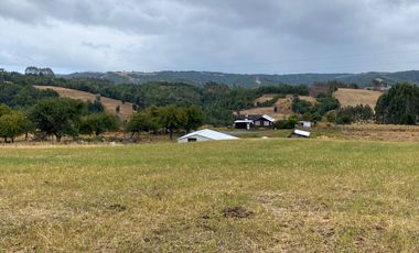 Parcelas en venta en Los Muermos con vista panorámica 360° y praderas