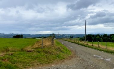 Parcelas en venta en Los Muermos con vista panorámica 360° y praderas