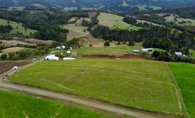 Parcelas en venta en Los Muermos con vista panorámica 360° y praderas
