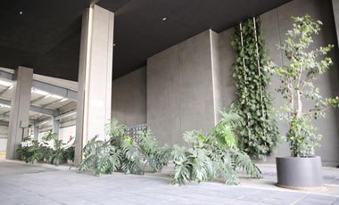 Oficinas en Renta Via Atlixcayotl altura Lomas de Angelopolis 