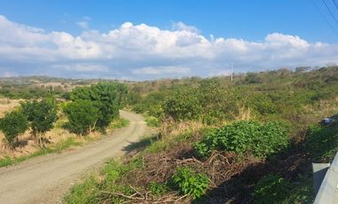 Terreno de venta en montecristi, zona la pila