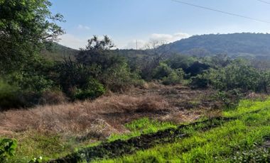 Terreno de venta en montecristi, zona la pila