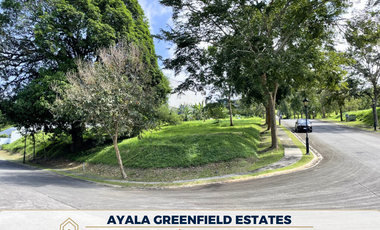 For Sale: Residential Lot in Ayala Greenfield Estates, Laguna