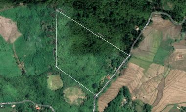 For Sale! 68,580 sqm Agricultural Lot, Busuanga, Palawan