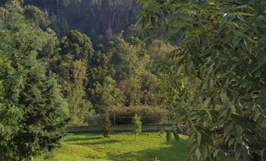 RENTA DEPARTAMENTO RESIDENCIAL JUNTO AL BOSQUE 10 MIN CENTRO FINANCIERO