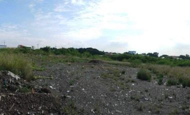 46,940 Sqm Lot for Lease - San Dionisio, Paranaque City