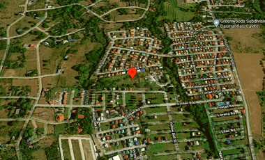 Argicultural vacant lot for Sale in Dasmarinas, Cavite
