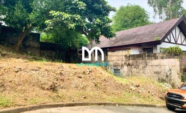 For Sale: Vacant Lot in Industrial Valley Subdivision, Marikina City