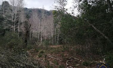 Campo 25 ha con orilla de río