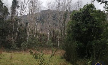 Campo 25 ha con orilla de río