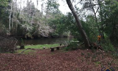 Campo 25 ha con orilla de río